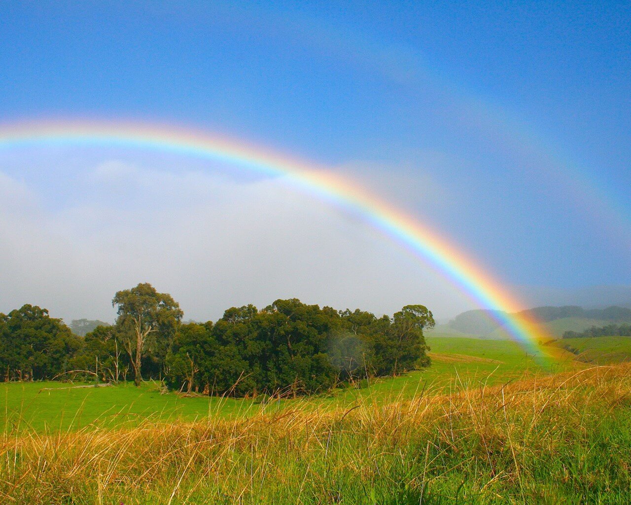 Picture of a rainbow over a field